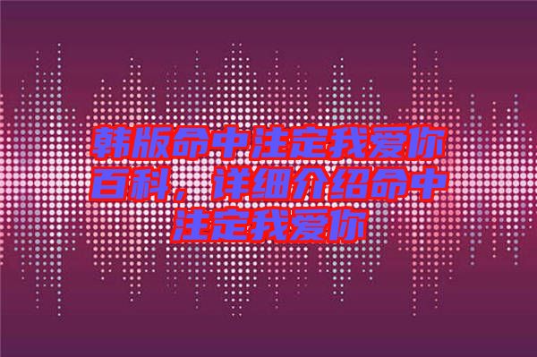 韓版命中注定我愛你百科，詳細(xì)介紹命中注定我愛你