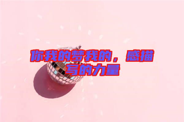 你我的夢(mèng)我的，感描寫(xiě)的力量