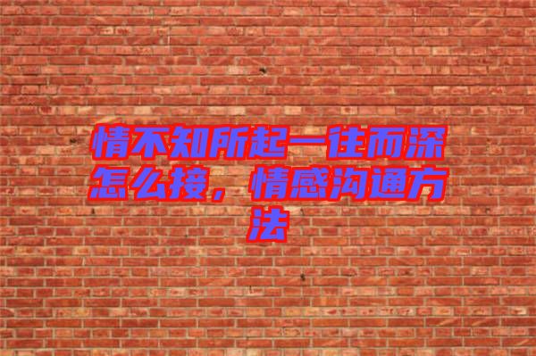 情不知所起一往而深怎么接，情感溝通方法