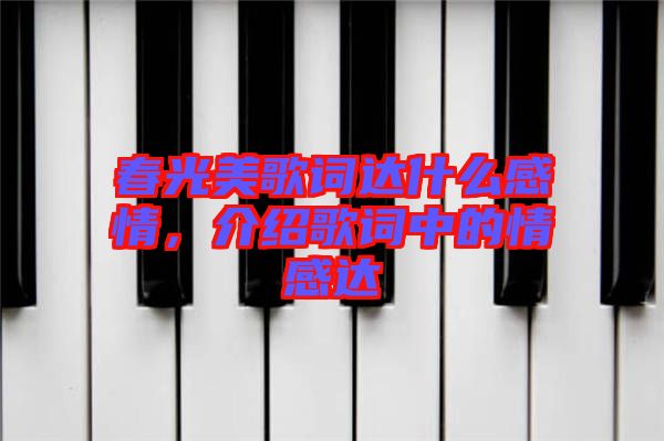 春光美歌詞達(dá)什么感情，介紹歌詞中的情感達(dá)