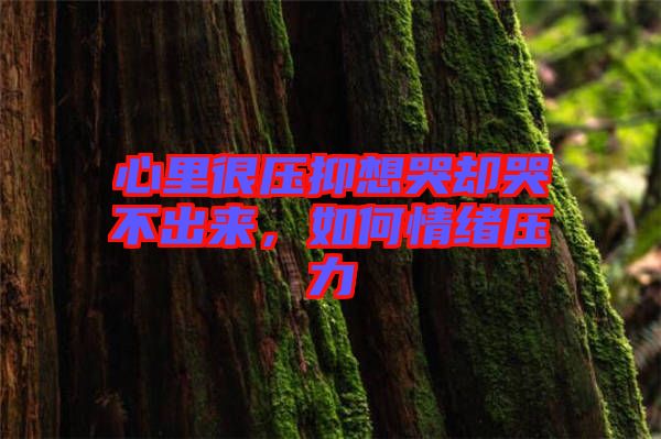 心里很壓抑想哭卻哭不出來，如何情緒壓力