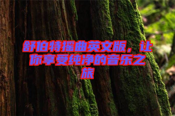 舒伯特?fù)u曲英文版，讓你享受純凈的音樂(lè)之旅