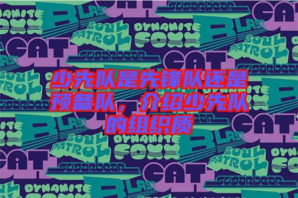 少先隊是先鋒隊還是預(yù)備隊，介紹少先隊的組織質(zhì)