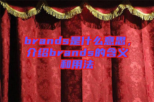 brands是什么意思，介紹brands的含義和用法