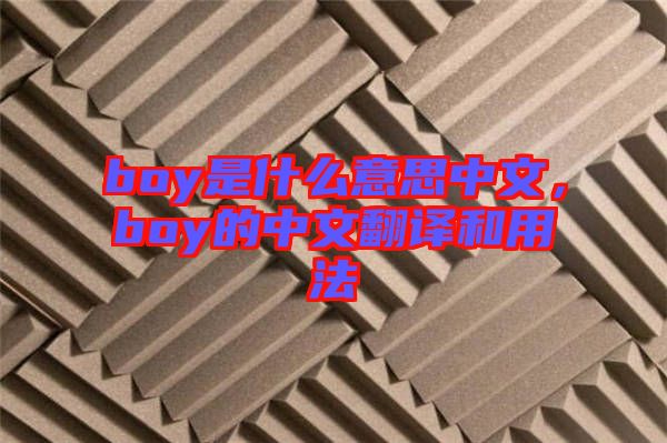 boy是什么意思中文，boy的中文翻譯和用法