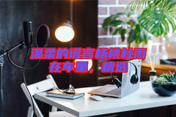 溫柔的謊言楊桃杜雨在車里，精選