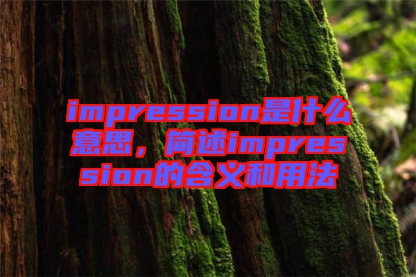 impression是什么意思，簡(jiǎn)述impression的含義和用法
