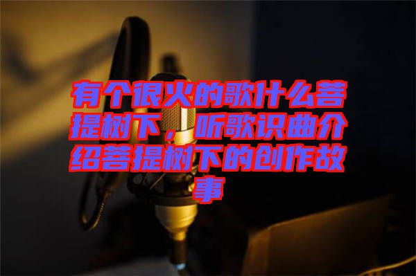 有個很火的歌什么菩提樹下，聽歌識曲介紹菩提樹下的創(chuàng)作故事