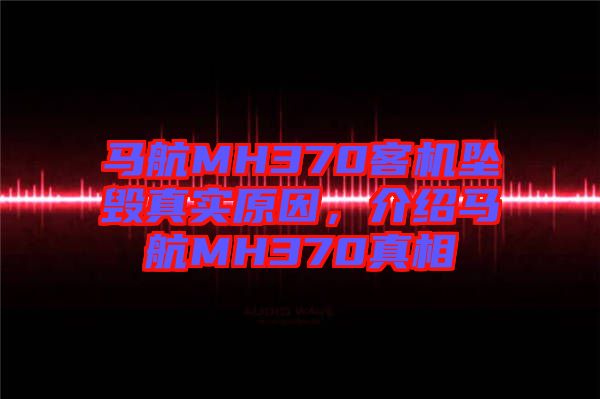 馬航MH370客機墜毀真實原因，介紹馬航MH370真相