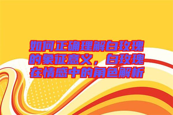如何正確理解白玫瑰的象征意義，白玫瑰在情感中的角色解析