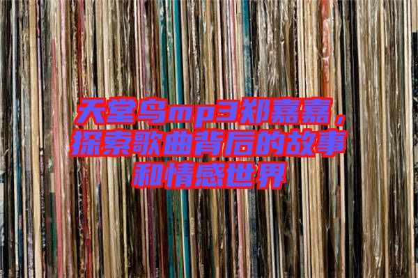 天堂鳥mp3鄭嘉嘉，探索歌曲背后的故事和情感世界