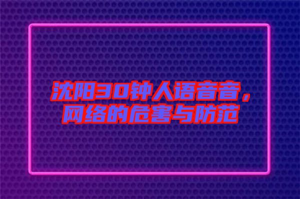沈陽30鐘人語音音，網(wǎng)絡(luò)的危害與防范