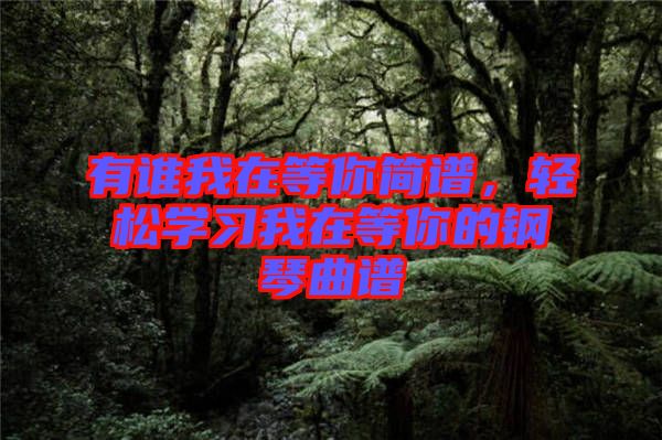 有誰(shuí)我在等你簡(jiǎn)譜，輕松學(xué)習(xí)我在等你的鋼琴曲譜