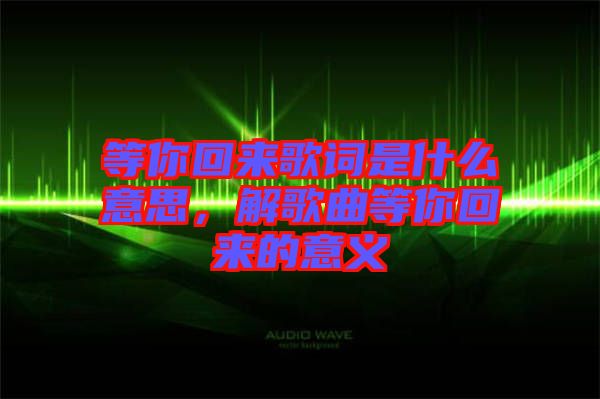 等你回來歌詞是什么意思，解歌曲等你回來的意義