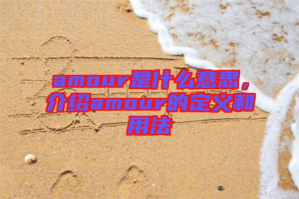 amour是什么意思，介紹amour的定義和用法