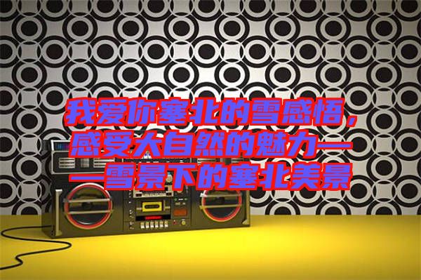 我愛你塞北的雪感悟，感受大自然的魅力——雪景下的塞北美景