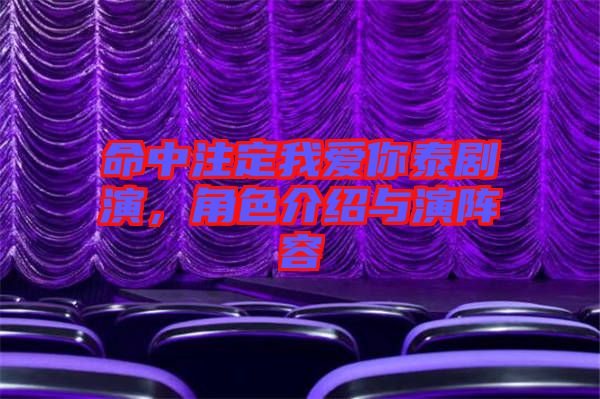 命中注定我愛你泰劇演，角色介紹與演陣容