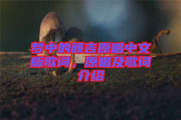 夢中的額吉原唱中文版歌詞，原唱及歌詞介紹