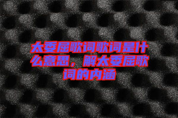 太委屈歌詞歌詞是什么意思，解太委屈歌詞的內(nèi)涵