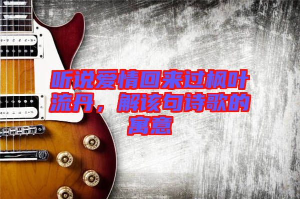 聽說愛情回來過楓葉流丹，解該句詩歌的寓意