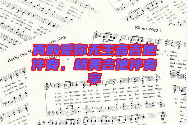 真的愛你無主音吉他伴奏，精美吉他伴奏享