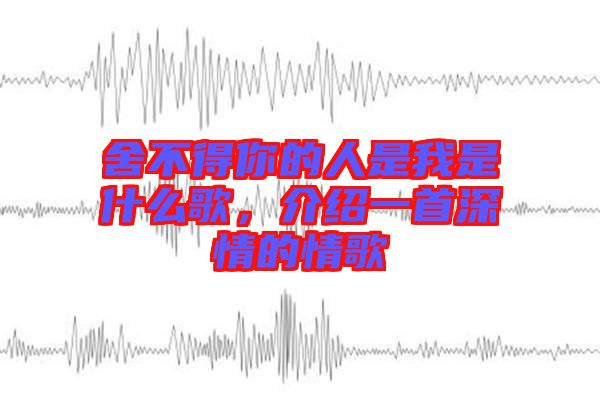 舍不得你的人是我是什么歌，介紹一首深情的情歌