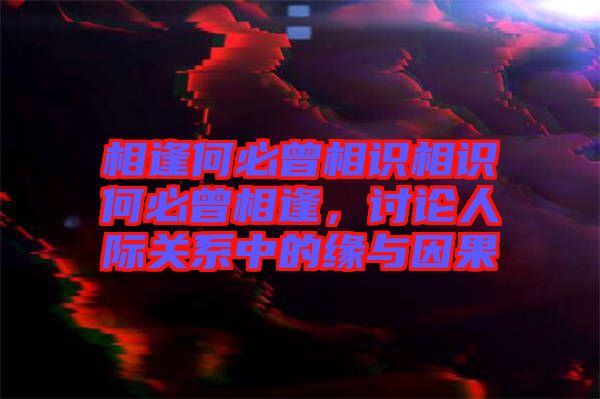 相逢何必曾相識相識何必曾相逢，討論人際關(guān)系中的緣與因果