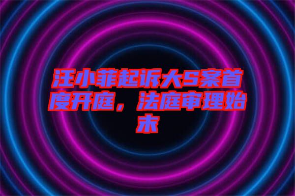 汪小菲起訴大S案首度開庭，法庭審理始末