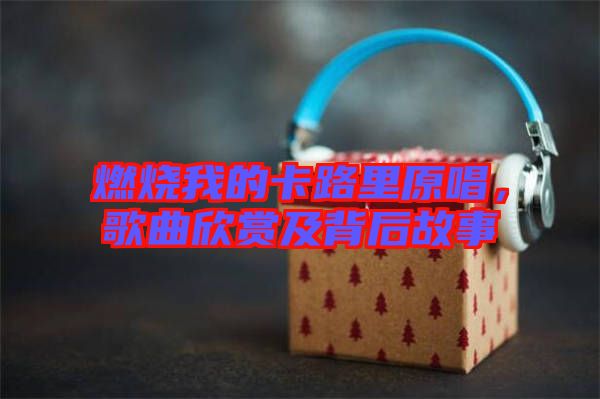 燃燒我的卡路里原唱，歌曲欣賞及背后故事