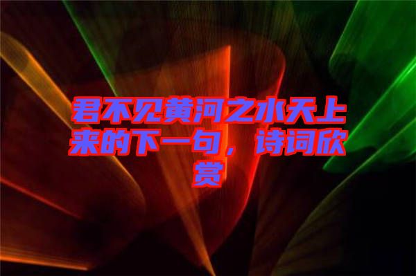 君不見黃河之水天上來的下一句，詩(shī)詞欣賞