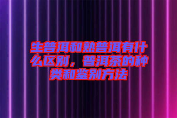 生普洱和熟普洱有什么區(qū)別，普洱茶的種類和鑒別方法