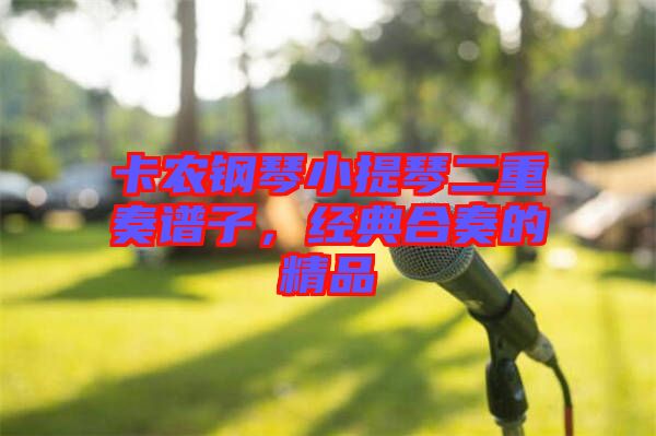 卡農(nóng)鋼琴小提琴二重奏譜子，經(jīng)典合奏的精品