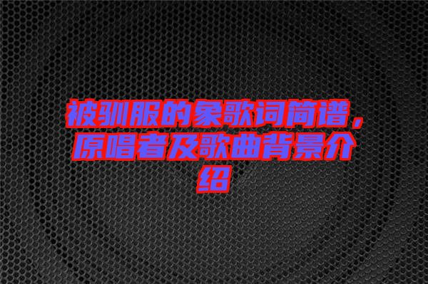 被馴服的象歌詞簡譜，原唱者及歌曲背景介紹