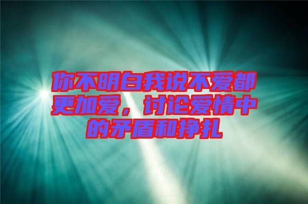 你不明白我說不愛都更加愛，討論愛情中的矛盾和掙扎