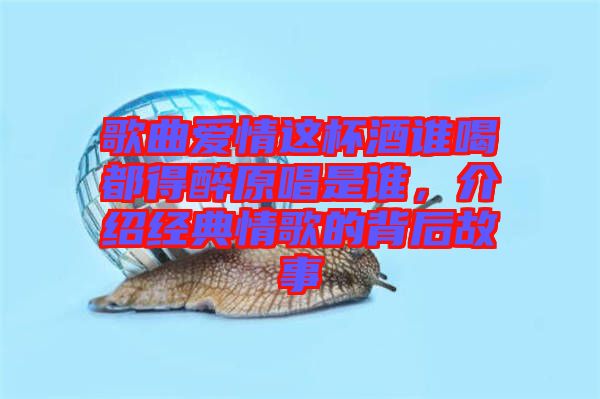 歌曲愛情這杯酒誰(shuí)喝都得醉原唱是誰(shuí)，介紹經(jīng)典情歌的背后故事