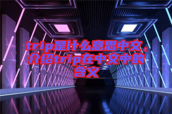 trip是什么意思中文，介紹trip在中文中的含義