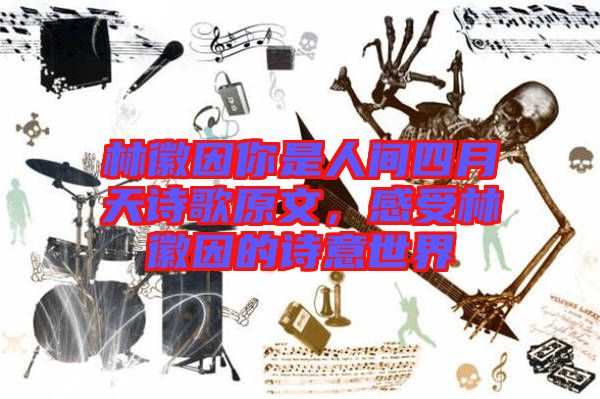 林徽因你是人間四月天詩歌原文，感受林徽因的詩意世界