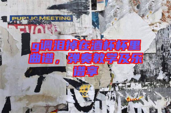 g調(diào)淚掉在酒杯杯里曲譜，彈奏教學(xué)及樂譜享