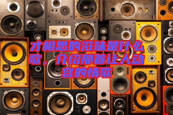 才相思的滋味是什么歌，介紹那首讓人動(dòng)容的情歌