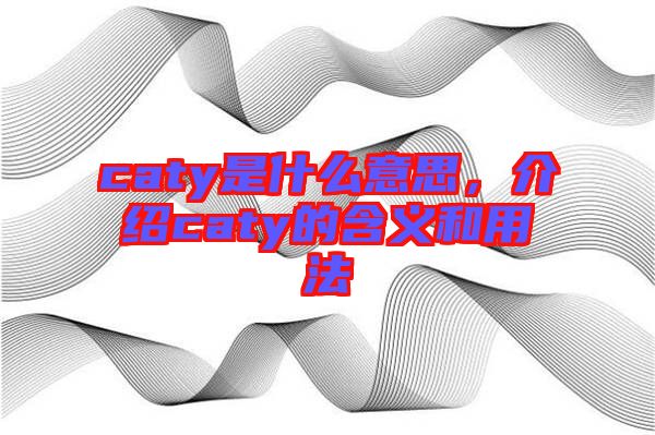 caty是什么意思，介紹caty的含義和用法