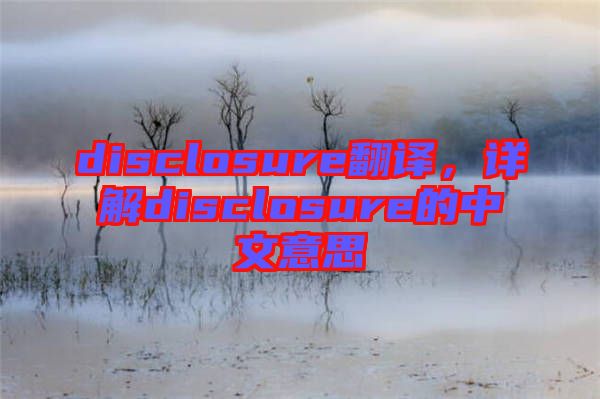 disclosure翻譯，詳解disclosure的中文意思
