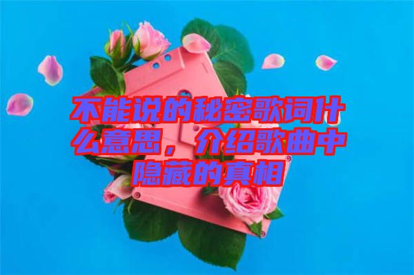 不能說的秘密歌詞什么意思，介紹歌曲中隱藏的真相