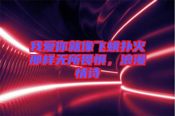 我愛你就像飛蛾撲火那樣無所畏懼，浪漫情詩