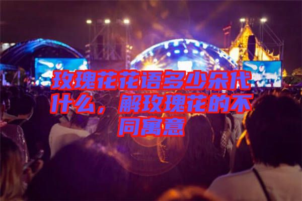 玫瑰花花語多少朵代什么，解玫瑰花的不同寓意