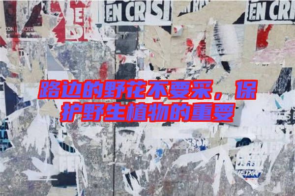 路邊的野花不要采，保護(hù)野生植物的重要