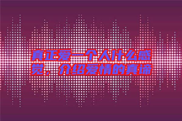 真正愛一個人什么感覺，介紹愛情的真諦