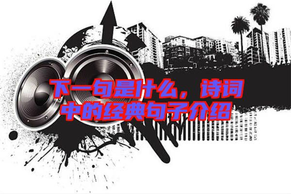 下一句是什么，詩詞中的經(jīng)典句子介紹