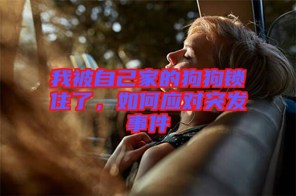 我被自己家的狗狗鎖住了，如何應(yīng)對突發(fā)事件