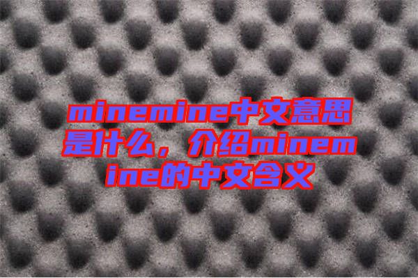 minemine中文意思是什么，介紹minemine的中文含義