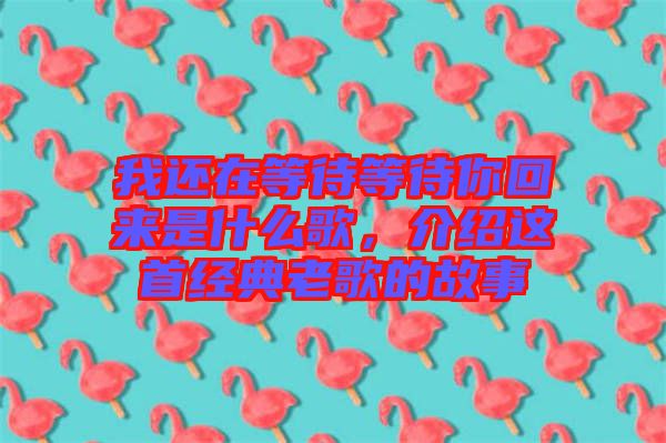 我還在等待等待你回來是什么歌，介紹這首經(jīng)典老歌的故事